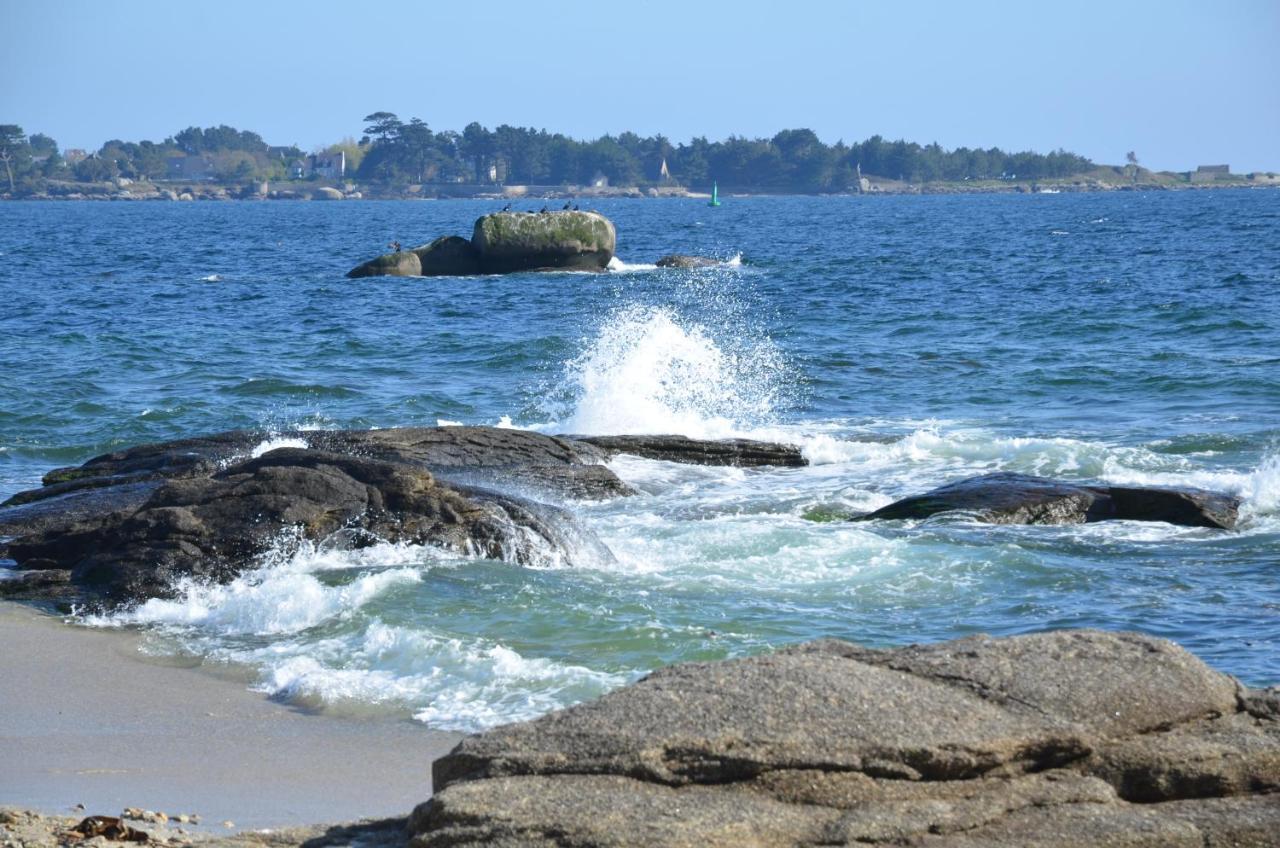 Votre Vue, La Mer, Les Bateaux !!! Wir Sprechen Flieben Deutsch, Touristentipps, We Speak English Concarneau Buitenkant foto